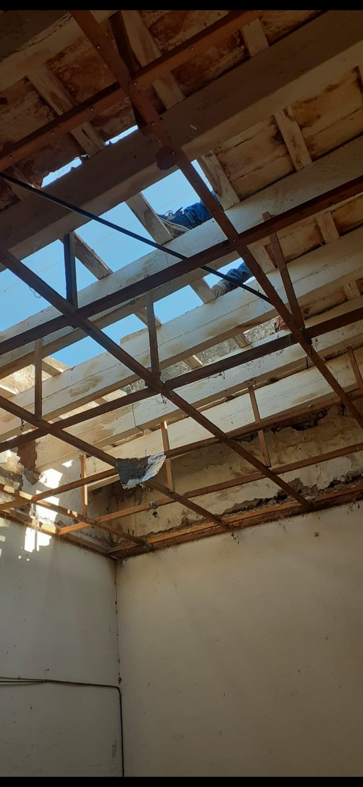 Renovación de Techo